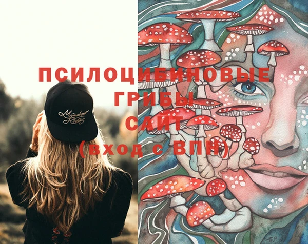 первитин Белокуриха